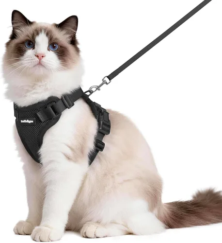 Vista 37 de rabbitgoo Cat Harness and Leash Set, Escape Proof Vest, XXS, Berry Pounce Soft Breathable Mesh, No-choke Adjustable Fit, Snap Buckles, Sturdy