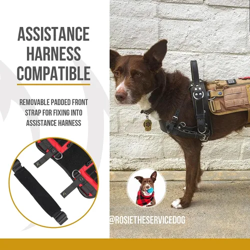 Vista 2 de OneTigris Chaleco para Perro de Servicio, Arnés Táctico para Perro UTX con Hebilla de Liberación Rápida, Correa de Cuello Removible Compatible