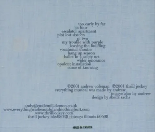 Vista 2 de Everything Was Beautiful & Nothing Hurt