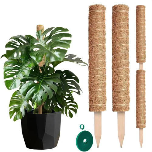 Vista 11 de 60 clips para plantas, 2 tamaños, para plantas de jardín, para tomate, plantas trepadoras, plantas colgantes, para vides, suministros de jardinería