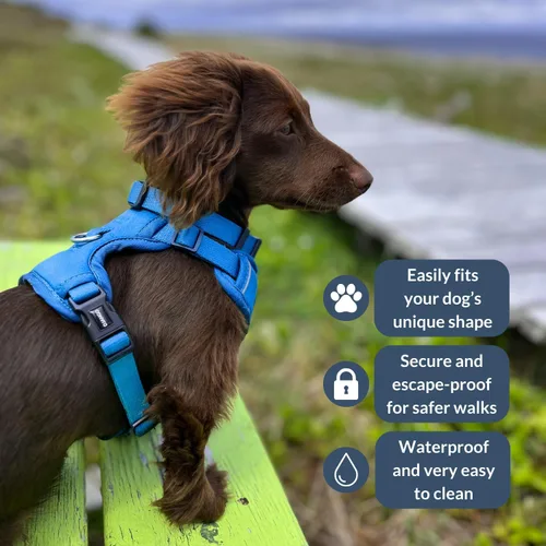 Vista 2 de DJANGO Tahoe Arnés para perro sin tirones, arnés para perros pequeños con clips delanteros y traseros para uso diario, ajustable, acolchado