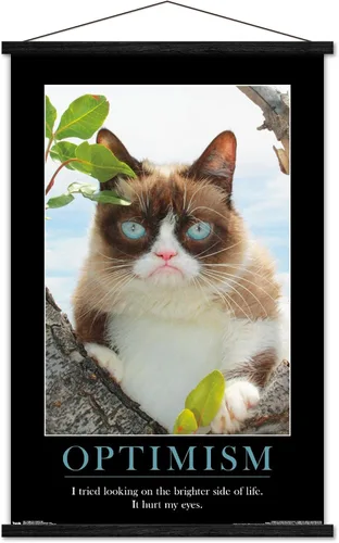 Vista 8 de Trends International Grumpy Cat - El Lado Más Brillante Póster de Pared, 14.725 x 22.375 pulgadas, Versión Enmarcada de Madera de Granero