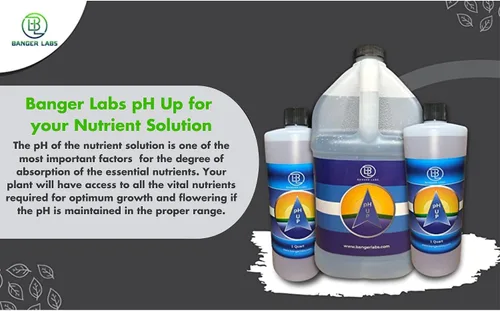Vista 6 de Solución prémium de pH Up: corrige los desequilibrios de pH, maximiza la absorción de nutrientes, previene las plantas enfermizas, ajuste del pH