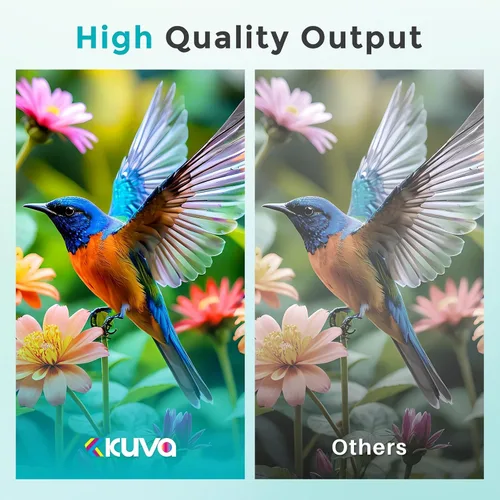 Vista 6 de Kuva PG 245XL 246XL - Cartucho de tinta de repuesto para Canon Ink 245 y 246 PG245 CL246 MX490 TR4520 MG2522 TR4500 TR4520 TS3322 TS3122 TS3320