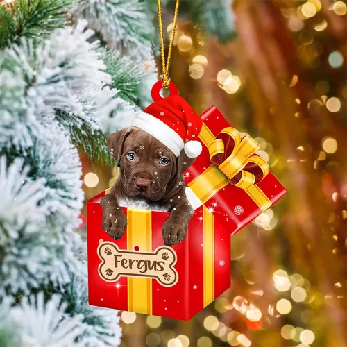 Vista 70 de Adorno de Navidad personalizado de Akita Inu, nombre personalizado Akita Inu para árbol de Navidad, en caja de regalo roja