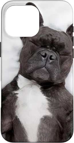 Vista 19 de Carcasa gráfica de Bulldog Francés para iPhone 17