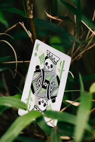 Vista 8 de Baraja de cartas Bicycle Panda, lindas cartas con animales, 1 mazo