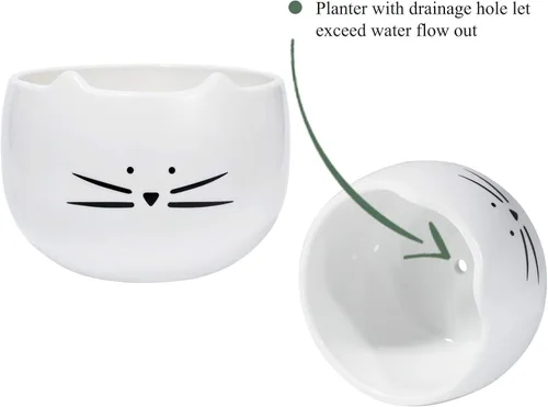 Vista 7 de Koolkatkoo Juego de 2 macetas para suculentas de 5.5 pulgadas con diseño de gatos