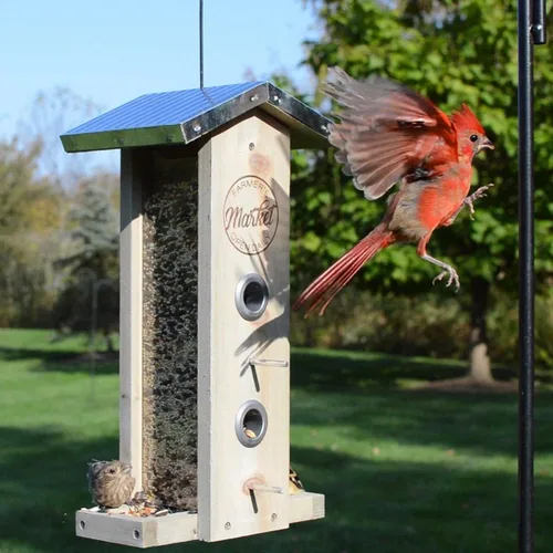 Vista 5 de Wild Wings WWGF1-DECO - Alimentador vertical galvanizado para pájaros de cedro