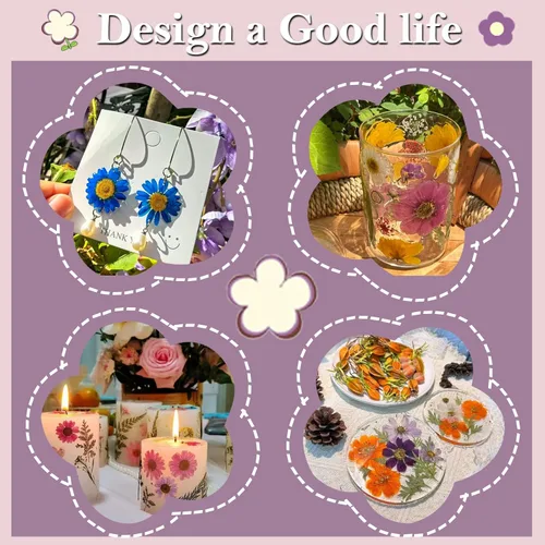 Vista 4 de 92 hojas de flores secas prensadas para moldes de resina, manualidades de bricolaje