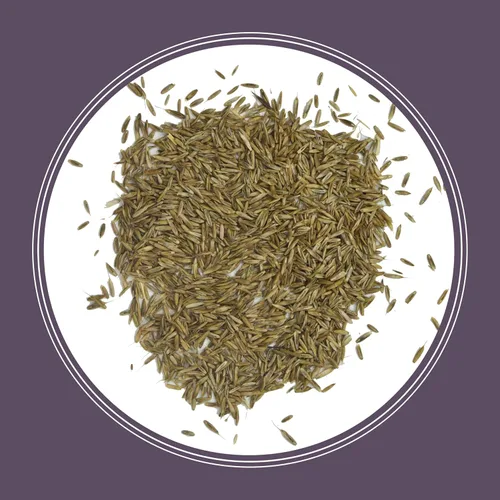 Vista 12 de Pennington Semilla anual de pasto de Ryegrass 10 lb
