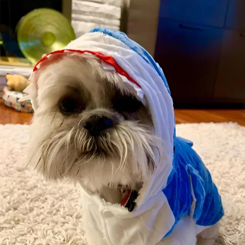 Vista 3 de NACOCO Disfraz de tiburón para perro, ropa para mascotas, abrigo de vacaciones de Halloween, sudadera con capucha para gatos y perros (azul, XS)