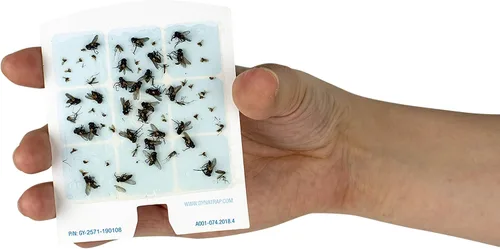 Vista 7 de Dynatrap DOT StickyTech - Tarjetas de pegamento de repuesto, paquete de 6