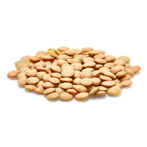 Vista 4 de Yupik Lentejas Verdes Orgánicas, 2.2 lb (35.2 oz), Sin OGM, Veganas, Sin Gluten, Kosher, Crudas, Fuente de Fibra, Hierro y Proteínas, Fibra