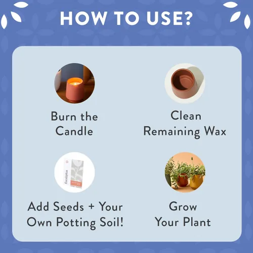Vista 2 de Modern Sprout Maceta de vela de soja, crece albahaca, aroma a albahaca