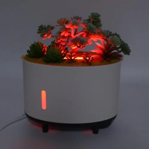 Vista 5 de Humidificador de plantas de simulación, 6.8 fl oz de aire silencioso humidificador de apagado automático, mini humidificador portátil