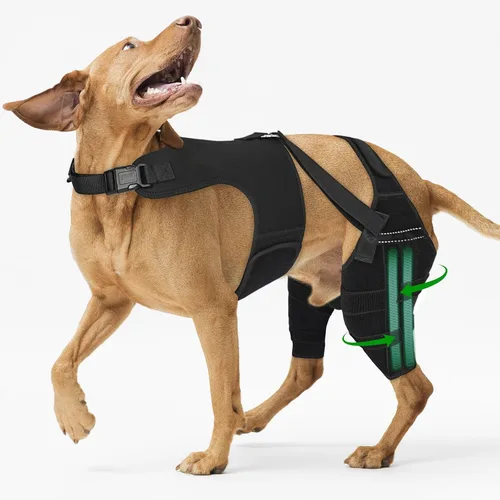 Vista 7 de Rodillera de perro para pierna trasera, soporte ajustable para piernas de perro con 4 estabilizadores, soporte de cadera para reducir el dolor