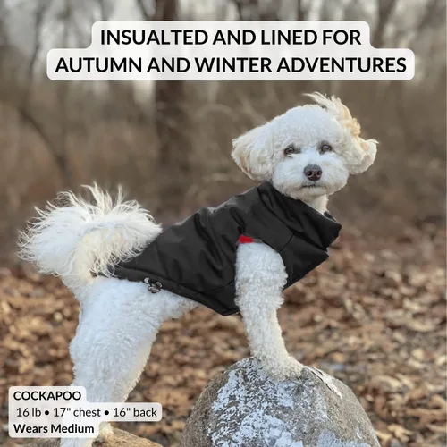 Vista 3 de DJANGO Abrigo de invierno reversible para perros con acolchado – Chaqueta de invierno cálida para perros y abrigo aislante repelente al agua