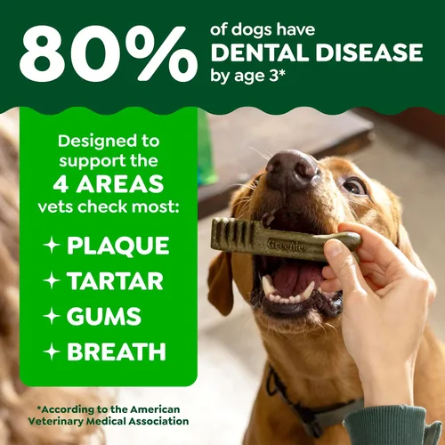 Vista 4 de Obsequios dentales para perros Greenies , Grande