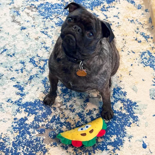 Vista 5 de SPOT Fun Food Taco - Juguete de peluche para perros con chirriador, juguete interactivo suave y chirriante para perros y cachorros, mantiene a
