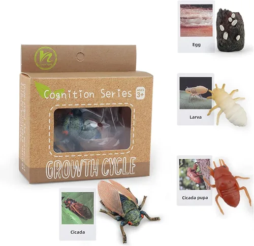 Vista 2 de Montessori Life Cycle Animal Insect Figurines Juguetes de aprendizaje y educación, juguetes de insectos de plástico para niños, actividades
