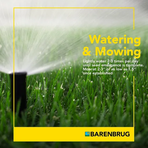 Vista 6 de Barenbrug 25620 Turf Sense Athletic Field - Semilla de césped crece en áreas de sol y sombra parcial, bolsa de 5 libras