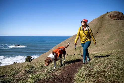 Vista 3 de Ruffwear, Combo de arnés y chaqueta Overcoat Fuse para perros, Naranja Canyonlands, Mediano Púrpura (Purple Sage)