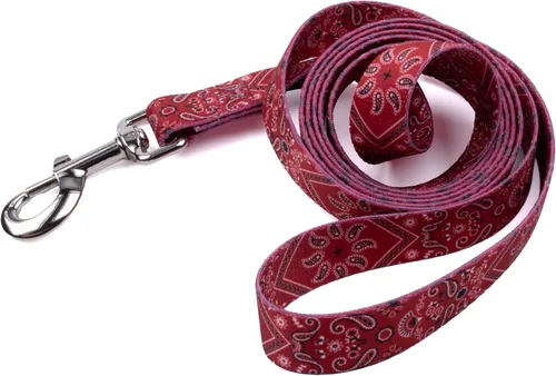 Vista 19 de Country Brook Design® Correa para perro Native Arizona de 1 pulgada - 6 pies Arizona nativa