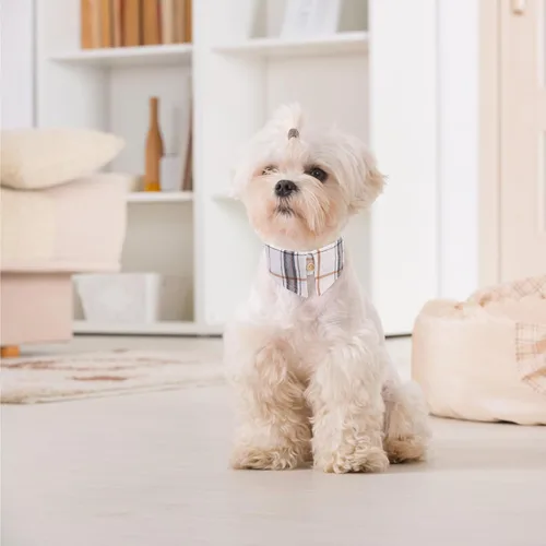 Vista 6 de EXPAWLORER Juego de collar y correa para cachorros, collar clásico a cuadros para perros pequeños con corbatín, bonito juego de collar y correa