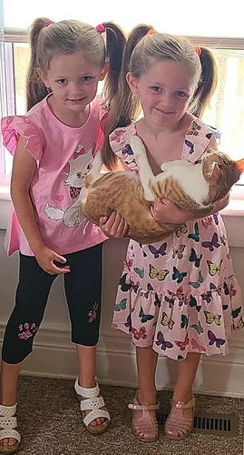 Vista 6 de Popshion Conjunto de ropa para niñas de 2 piezas, conjunto de ropa para niños pequeños, manga volada con dobladillo irregular, parte superior
