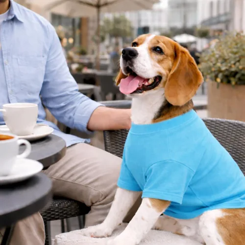 Vista 93 de Lovelonglong 2019 - Ropa para mascotas, Disfraces para Perro, Ropa Camisetas en blanco para Perros Grande Medianos Pequeños 100% Algodón 18