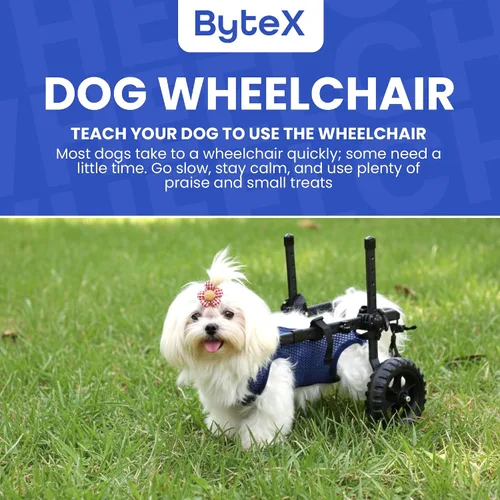 Vista 2 de Silla de ruedas para perros para patas traseras, carrito de silla de ruedas para perros, sillas de ruedas para perrito/gato con patas traseras