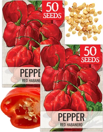 Vista 35 de Seed Needs - Semillas de pimiento arcoíris para plantar verduras, 1 paquete