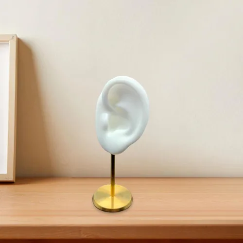 Vista 4 de Colaxi Soporte de exhibición de aretes, soporte de oreja para modelo, herramientas de enseñanza, decoración de escritorio duradera con base estable
