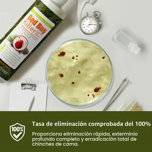 Vista 3 de Eliminador de plagas de cama Ecoraider en aerosol, 16 onzas, verde + no tóxico, mata 100% con protección extendida