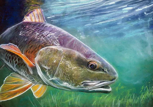 Vista 2 de Redfish and Bonefish Prints Set of Two Hand Signed Fishing Artworks by Jack Tarpon Fishing Gift for Him or Her Saltwater Nature Fisherman Decor