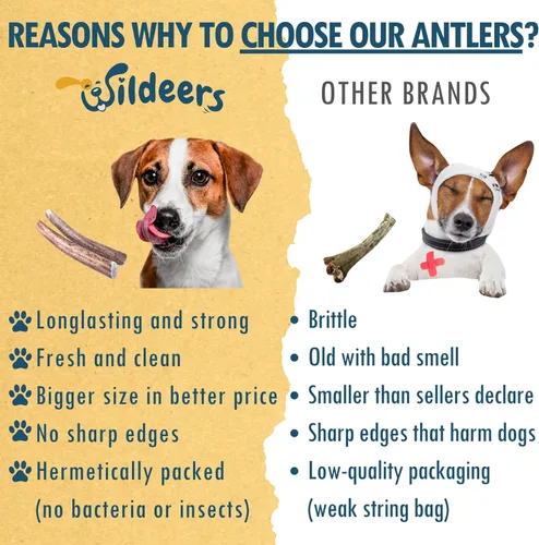 Vista 7 de Wildeers Cuernos de alce para perros pequeños, paquete de 3, ricos en minerales, masticables de hueso de cuernos de perro, fabricados en Estados