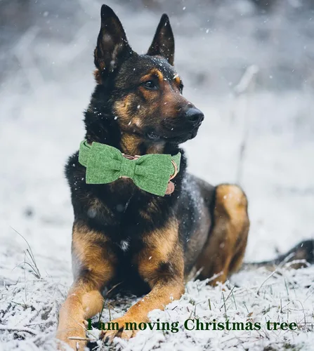 Vista 6 de DOGWONG Collar de algodón de cáñamo para perro con lazo, collar verde para mascotas, duradero, ajustable, collar para cachorros para perros