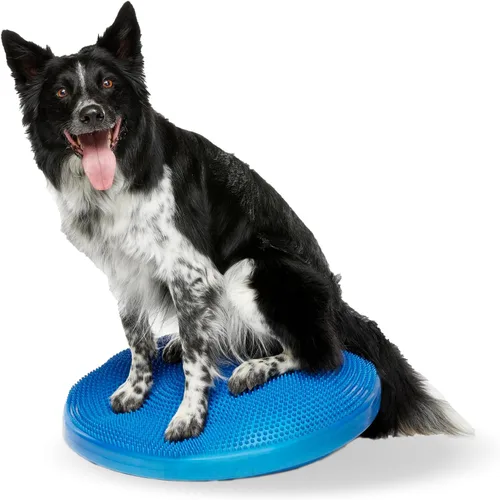 Vista 9 de FitPAWS® Disco de equilibrio para perros, 14 pulgadas, azul, equipo de ejercicio para perros, herramienta de entrenamiento para fuerza, núcleo