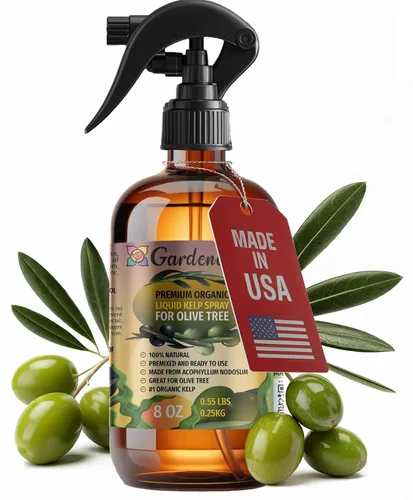 Vista 11 de GARDENERA Spray orgánico profesional de algas marinas para plantas AGLAONEMA – 8 oz – Rocío fertilizante de algas marinas y algas marinas totalmente