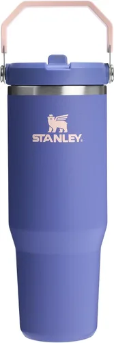 Vista 85 de STANLEY IceFlow 2.0 - Vaso con pajilla abatible con asa, 30 onzas, tapa giratoria y popote abatible, botella de agua a prueba de fugas, acero Tiza
