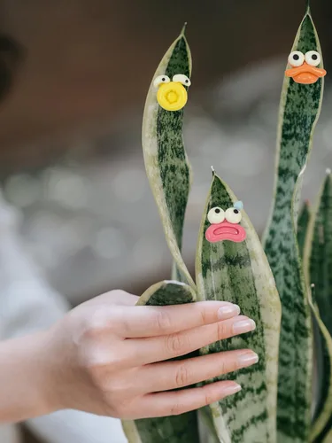 Vista 6 de Imanes de plantas, Googly Eyes imanes de plantas para plantas en maceta, dijes de plantas para regalos de plantas, juego de 7