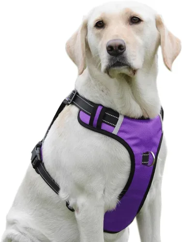 Vista 11 de Arnés para perro sin tirones con 2 anillos en D, ajustable, reflectante, suave, acolchado, chaleco Oxford y asa para perros pequeños, negro, S