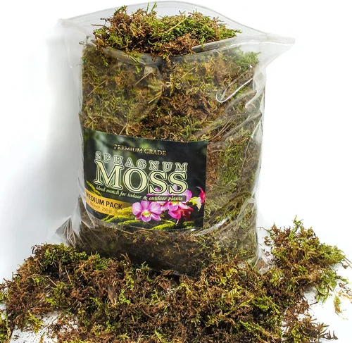 Vista 6 de Musgo esfagnum verde orgánico para orquídeas, plantas de interior y exterior, secado para jardinería decorativa (paquete mini (probador) - 1 litro