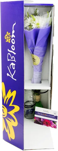 Vista 2 de KaBloom - Ramo de belleza abundante de margaritas blancas frescas con jarrón - Flores frescas para cumpleaños, San Valentín y Día de la Madre