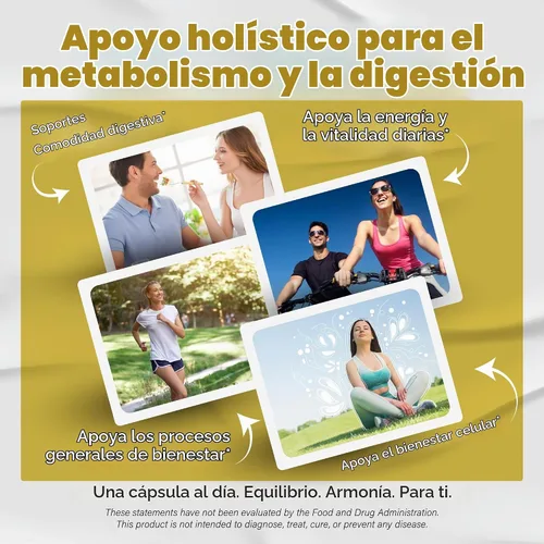 Vista 3 de VEGATOT Berberina 1480 mg Total 13 en 1 con Canela de Ceilán, 90 Cápsulas