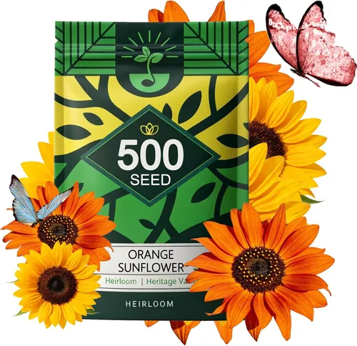 Vista 11 de Semillas de equinácea púrpura (Echinacea purpurea), flores perennes nativas resistentes, período de floración largo, ideales para hacer flores