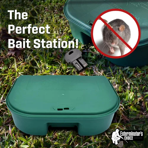 Vista 2 de Exterminators Choice Caja grande para cebo para ratas con 1 llave, plástico, resistente a la intemperie, resistente a la intemperie, caja verde