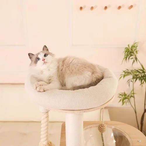 Vista 7 de Árbol moderno para gatos de 59 pulgadas, torre grande de varios niveles, árbol de madera resistente para gatos con hamaca, poste rascador de algodón