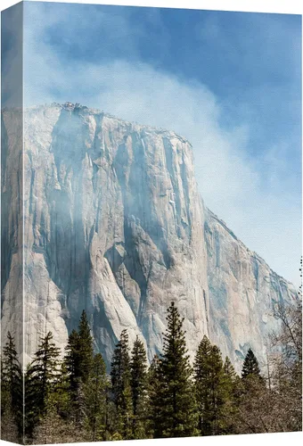 Vista 38 de SIGNFORD Lienzo impreso para pared, árboles de abedul dorados de otoño, bosque, decoración de guardería, paisaje decorativo, relajante, tranquilo